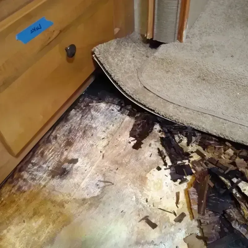 Wood Floor Water Damage in Ecorse, MI